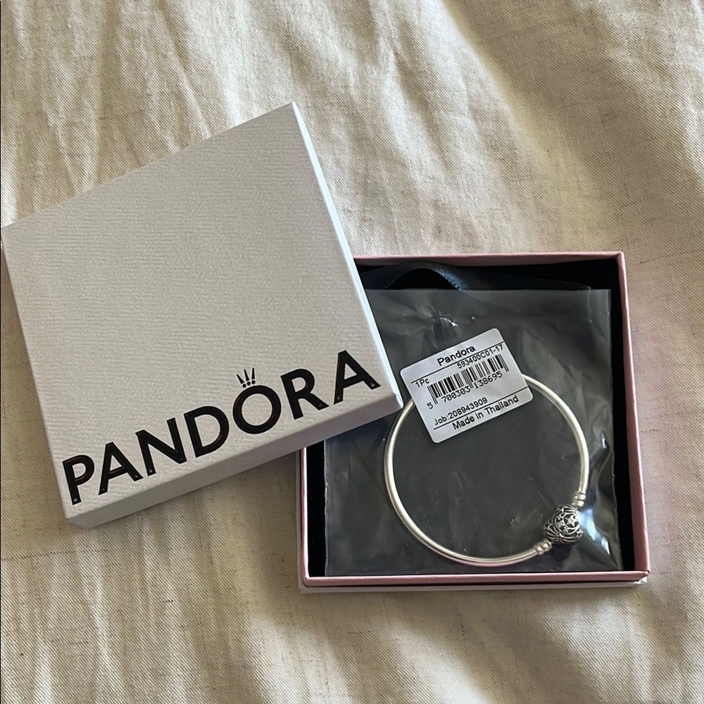 Pandora Celestial Heart Clasp Silver Charm Bracelet